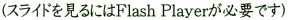 (XChɂFlash PlayerKvł) 