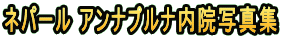 lp[ Aivi@ʐ^W 