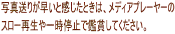 ʐ^肪ƊƂ́AfBAv[[ X[Đꎞ~Ŋӏ܂ĂB