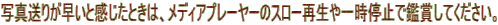 ʐ^肪ƊƂ́AfBAv[[̃X[Đꎞ~Ŋӏ܂ĂB