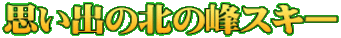 vo̖k̕XL[